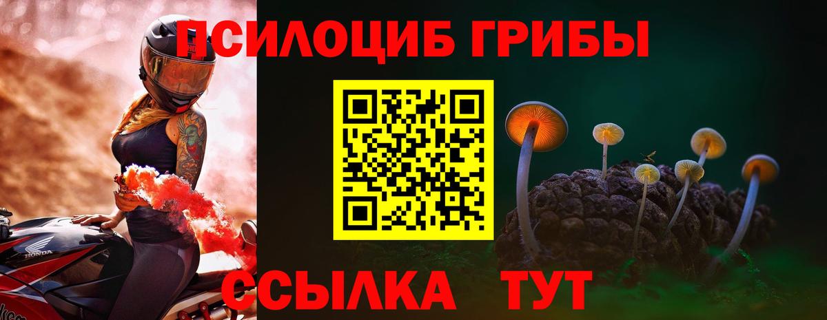 Клинцы  Галлюциногенные грибы Psilocybine cubensis  Вход с VPN 